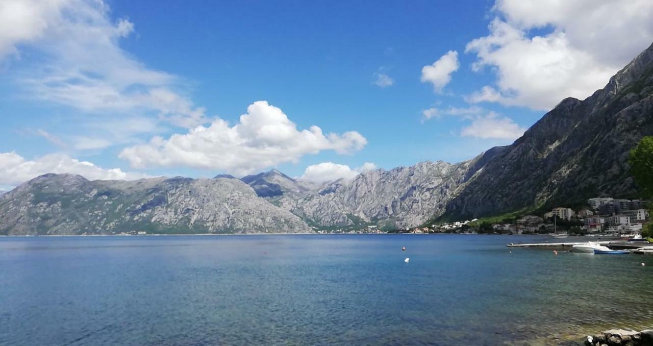 Apartment Radulovic Kotor Bagian luar foto